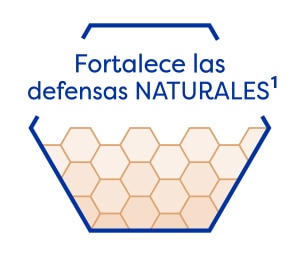 Fortalece las defensas