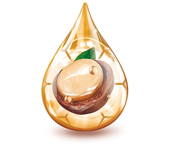Macadamia